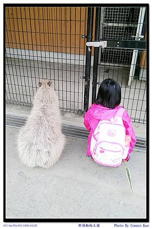 那須動物王國