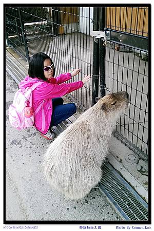 那須動物王國