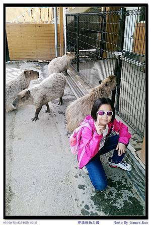 那須動物王國 那須動物王國