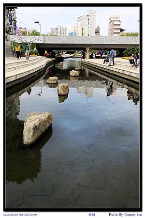 柳川 柳川