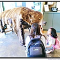 Big Bear Discovery Center