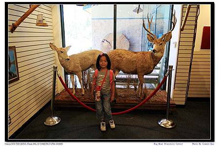 Big Bear Discovery Center