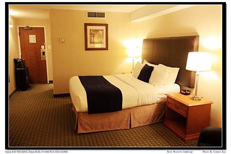 Best Western Cambrige Best Western Cambrige