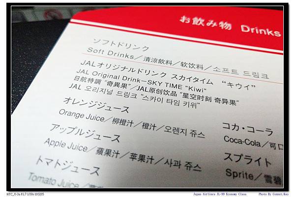 Japan Airlines JL-99 Economy Class