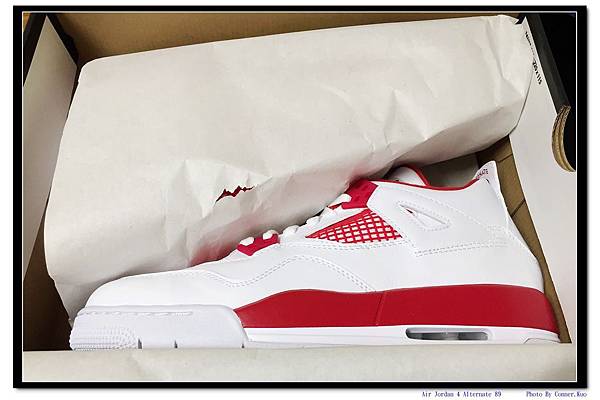 Air Jordan 4 Alternate 89