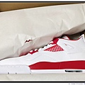 Air Jordan 4 Alternate 89