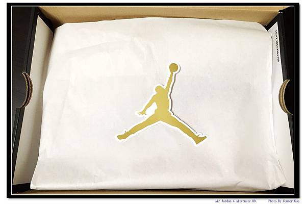 Air Jordan 4 Alternate 89