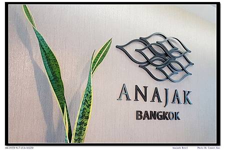 Anajack Hotel