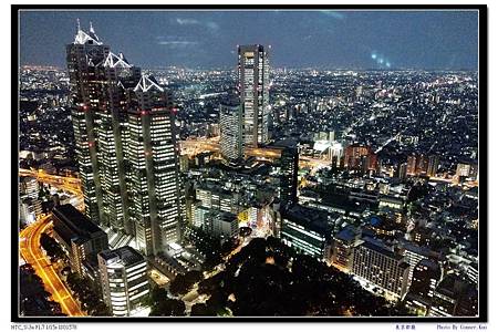 東京都廳 東京都廳