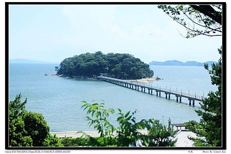 竹島 竹島