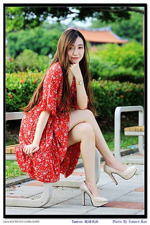 Tamron 鏡頭試拍 Tamron 鏡頭試拍