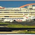 東京奧運彩繪機