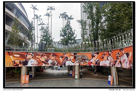 中信兄弟 VS 統一獅