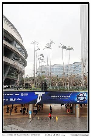 台灣隊 VS 樂天巨人