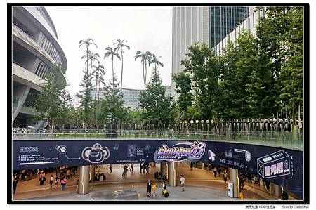 樂天桃猿 VS 中信兄弟 樂天桃猿 VS 中信兄弟