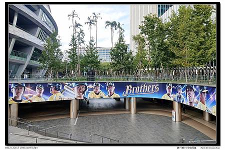 統一獅 VS 中信兄弟 統一獅 VS 中信兄弟