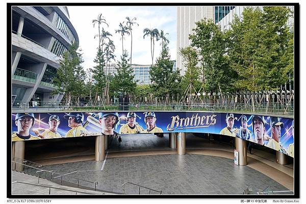 統一獅 VS 中信兄弟