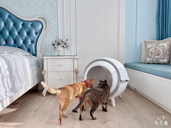 Maoday/毛日子/智能貓砂盆/開箱/自動鏟屎/高CP值/安全/毛日子豆腐砂/奈米陶瓷鍍膜/抗菌抗污/時尚貓砂盆