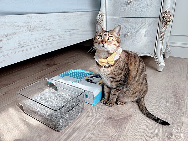 水魔素貓砂/頂級鈉基無塵礦砂/低粉塵/吸水力佳/除臭/真空包裝/評比實測