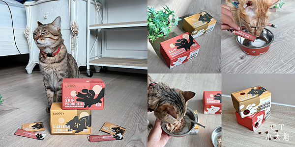 LOOPET/寵物皮膚益生菌/提升皮膚防禦力/毛髮亮麗/腸胃益生菌/幫助消化/維持腸道健康/曹佑寧代言/保健品