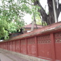 DSC02765_大小.JPG