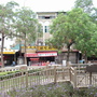 DSC02843_大小.JPG