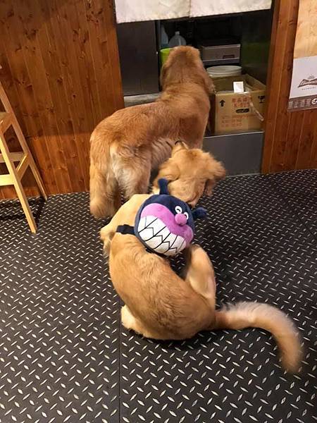 99156581_2857678134287428_5466495015544946688_n.jpg 99156581_2857678134287428_5466495015544946688_n.jpg