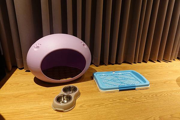 123431924_3339484159440154_1488144928152944887_o.jpg 123431924_3339484159440154_1488144928152944887_o.jpg