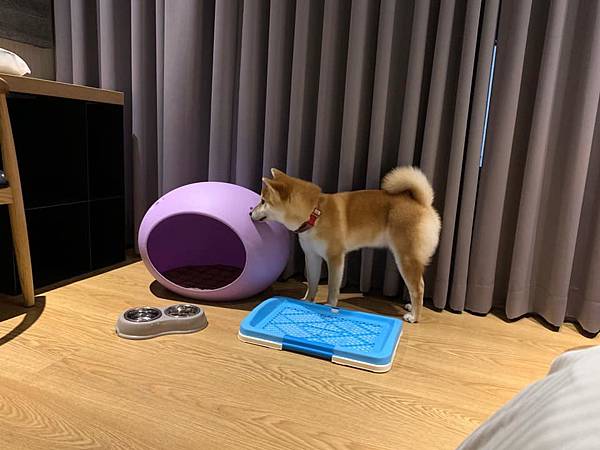 123229854_3340235392698364_8973762734740888436_n.jpg 123229854_3340235392698364_8973762734740888436_n.jpg