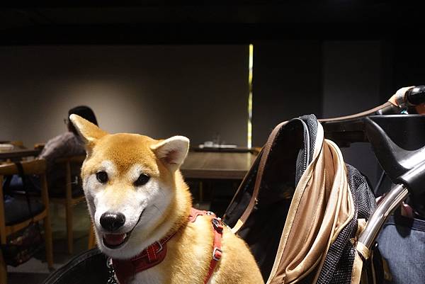 123241879_3339485942773309_5181379658223873785_o.jpg 123241879_3339485942773309_5181379658223873785_o.jpg