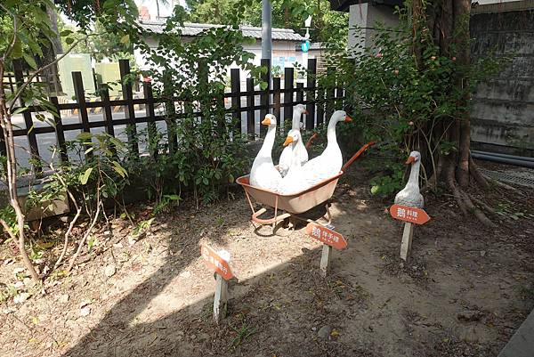 123509672_3339501216105115_7589153679898044125_o.jpg 123509672_3339501216105115_7589153679898044125_o.jpg