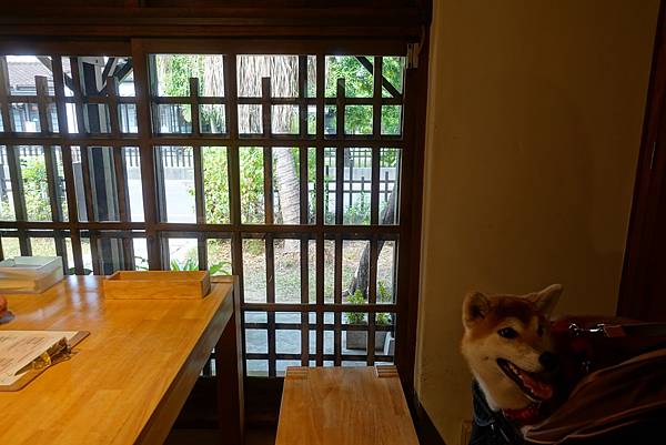 123614986_3339501156105121_4180606539795499521_o.jpg 123614986_3339501156105121_4180606539795499521_o.jpg