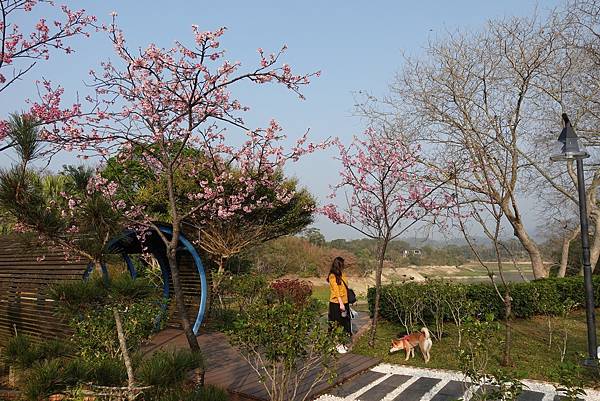 146416769_3589495221105712_8223908708181721564_o.jpg 146416769_3589495221105712_8223908708181721564_o.jpg