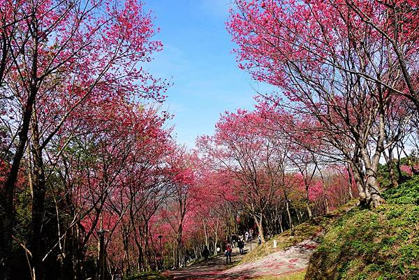 146737802_3595351877186713_5146943105449819431_o.jpg 146737802_3595351877186713_5146943105449819431_o.jpg