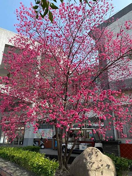 147273993_3589444811110753_3029773895341737065_n.jpg 147273993_3589444811110753_3029773895341737065_n.jpg