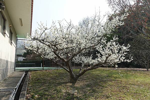 163804463_3704498579605375_872656769695451134_o.jpg 163804463_3704498579605375_872656769695451134_o.jpg