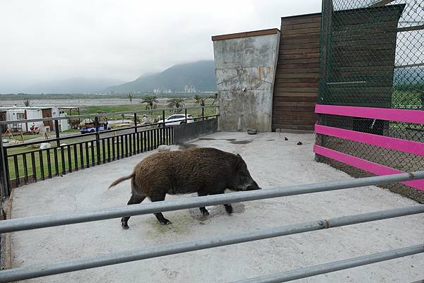 173188911_3776302649091634_4973215620213649101_n.jpg 173188911_3776302649091634_4973215620213649101_n.jpg