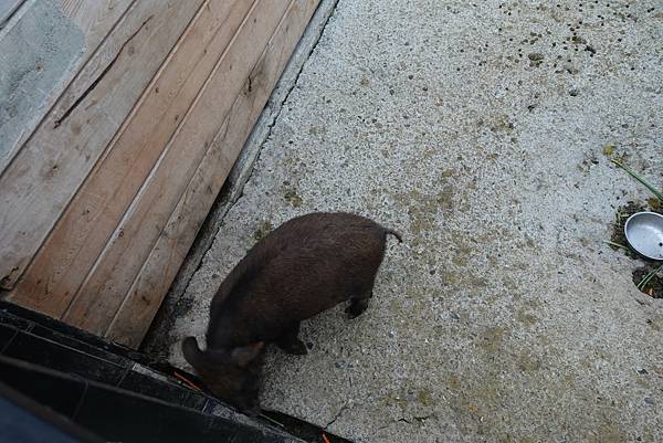 171555503_3776303209091578_82866100689757046_n.jpg 171555503_3776303209091578_82866100689757046_n.jpg