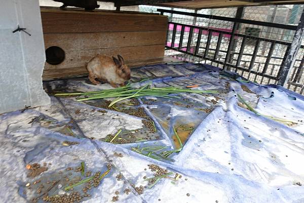 174446342_3776301825758383_3308565870839294450_n.jpg 174446342_3776301825758383_3308565870839294450_n.jpg