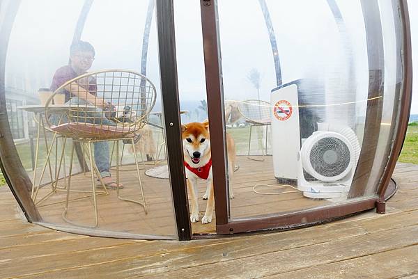 173188866_3776257542429478_3716052444960853402_n.jpg 173188866_3776257542429478_3716052444960853402_n.jpg