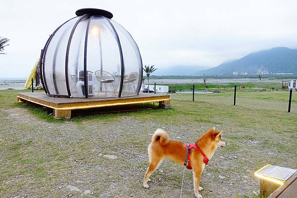 172354038_3776258422429390_8351520562417831855_n.jpg 172354038_3776258422429390_8351520562417831855_n.jpg