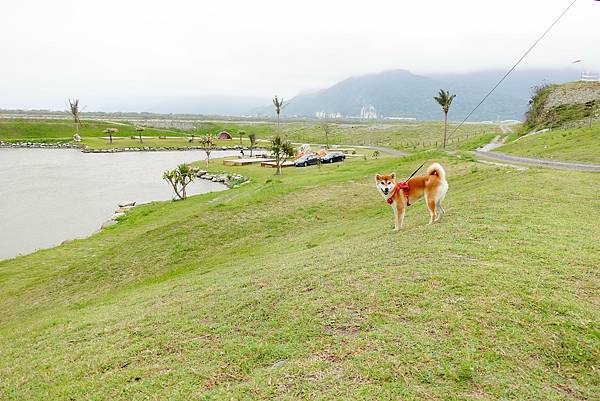 173399018_3776303025758263_818796524829603436_n.jpg 173399018_3776303025758263_818796524829603436_n.jpg