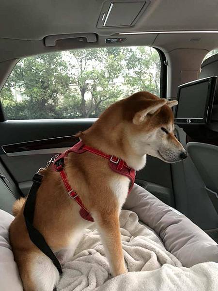 173339153_3776301395758426_8407623989033194434_n.jpg 173339153_3776301395758426_8407623989033194434_n.jpg