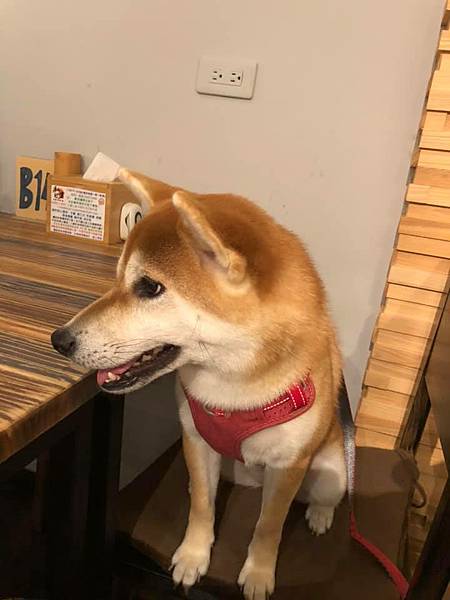 174658378_3786550091400223_6066256712977500062_n.jpg 174658378_3786550091400223_6066256712977500062_n.jpg