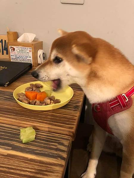 174627123_3786549694733596_6125800266054169508_n.jpg 174627123_3786549694733596_6125800266054169508_n.jpg