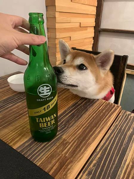 173780374_3786550708066828_8917269200974918731_n.jpg 173780374_3786550708066828_8917269200974918731_n.jpg