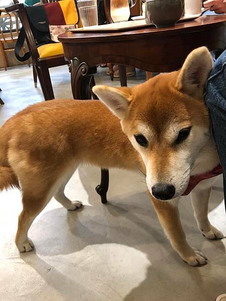 174328333_3786547438067155_5290926669099215192_n.jpg 174328333_3786547438067155_5290926669099215192_n.jpg