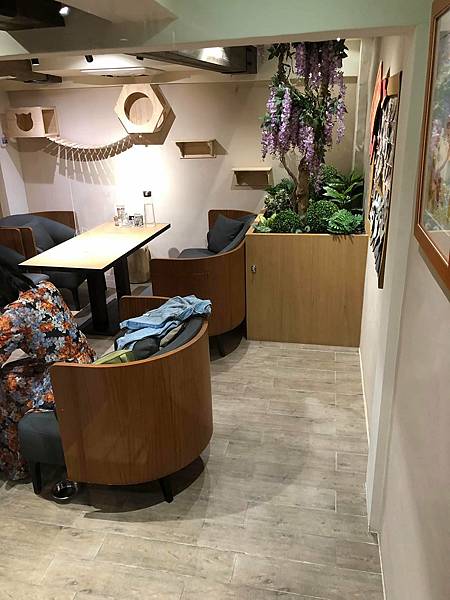 243437603_4258409737547587_4863561084022086779_n.jpg 243437603_4258409737547587_4863561084022086779_n.jpg