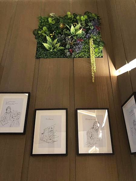 243655440_4258407044214523_2068655505176614529_n.jpg 243655440_4258407044214523_2068655505176614529_n.jpg