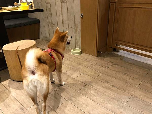 243346254_4258409764214251_1987467611198294301_n.jpg 243346254_4258409764214251_1987467611198294301_n.jpg